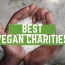 The Best Vegan Charities That Need Your Support