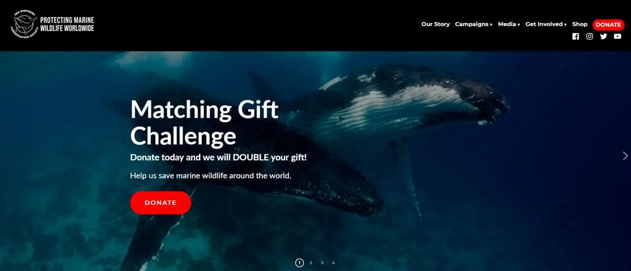 Sea Shepherd Charity Website