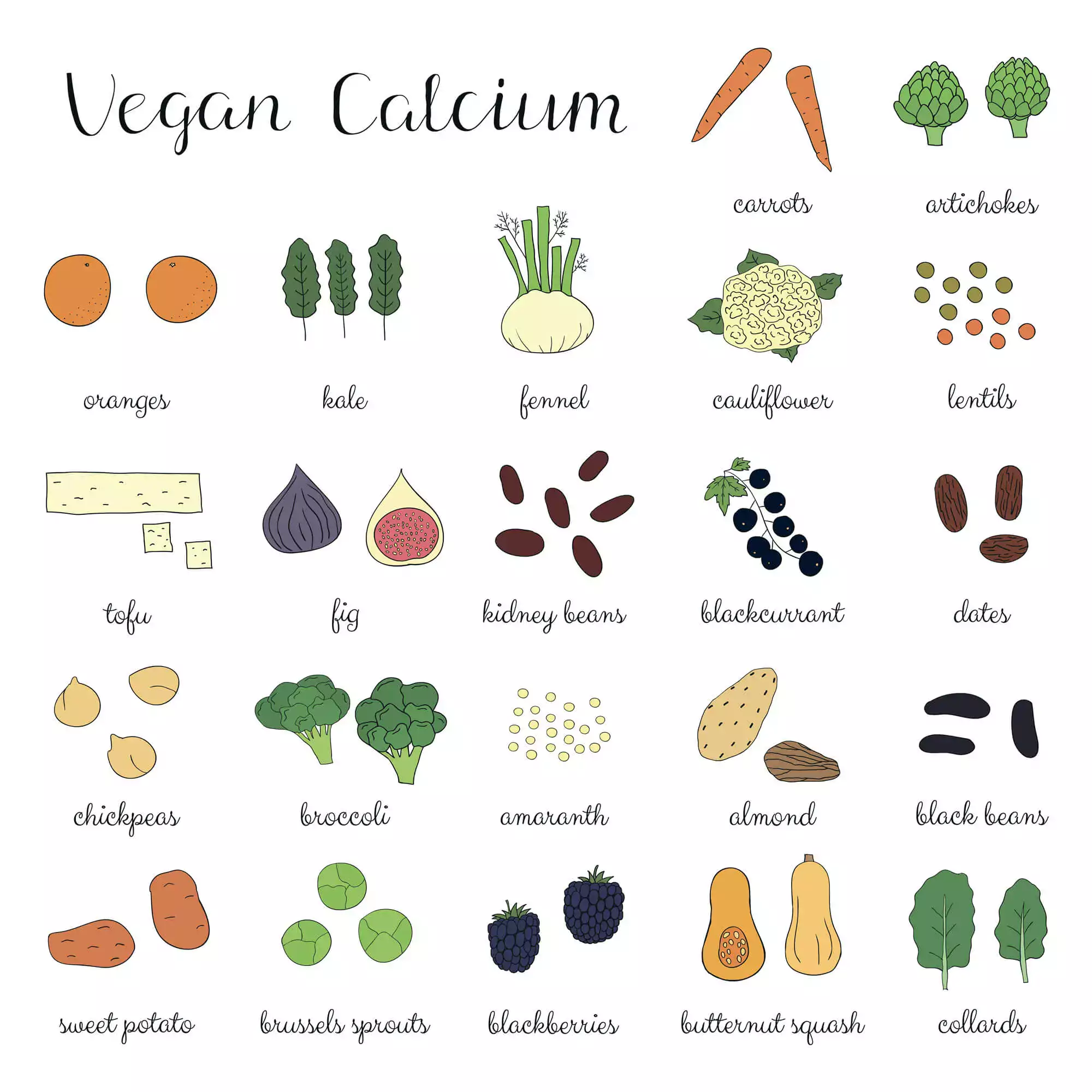 Plant-based calcium. Hand drawn vegan products