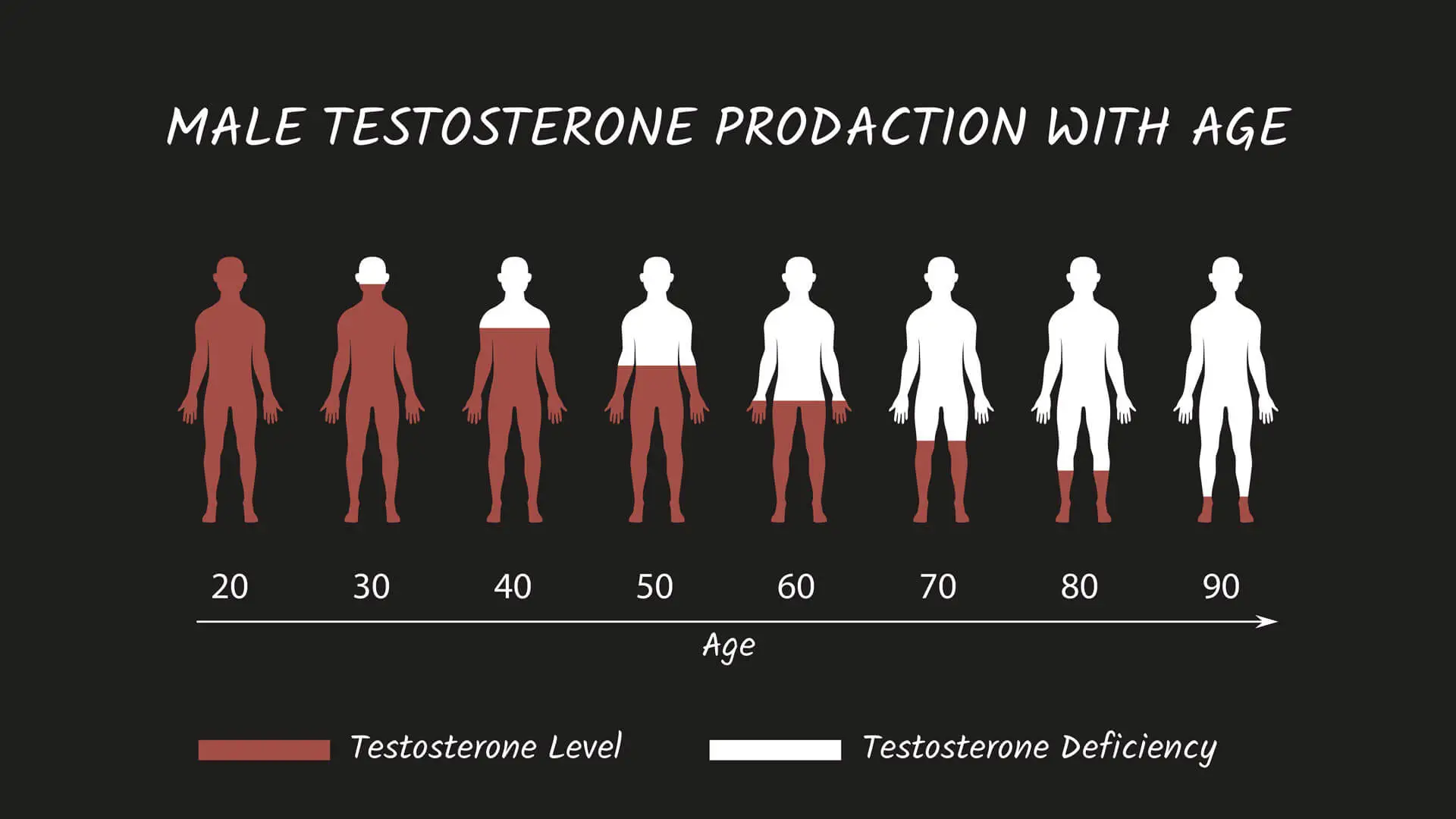 Male Testosterone Prodaction with Age. Testosterone Hormonal Level