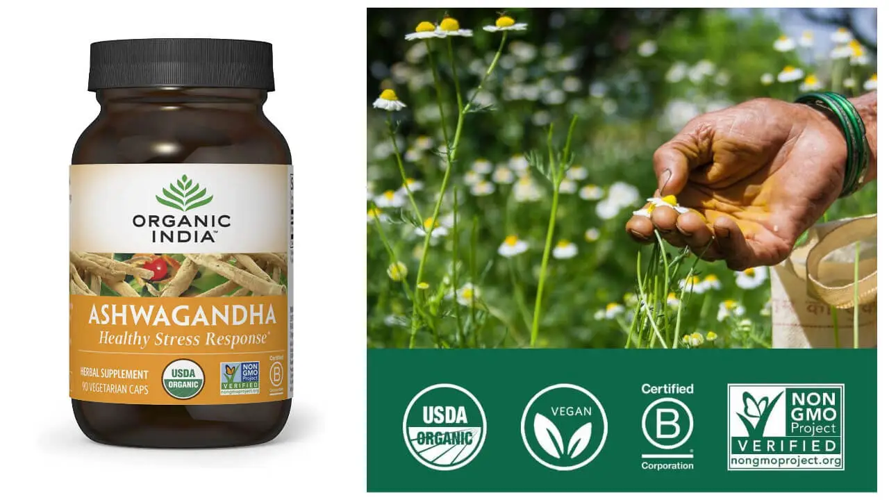 Organic India Ashwagandha Herbal Supplement