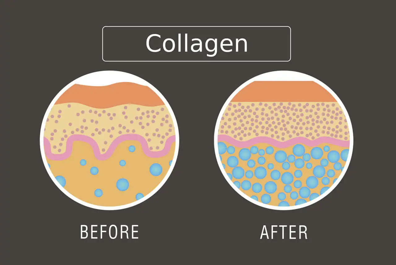 Benefits of Vegan Collagen Boosters